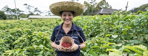 Nestlé Philippines employee in a coffee farm